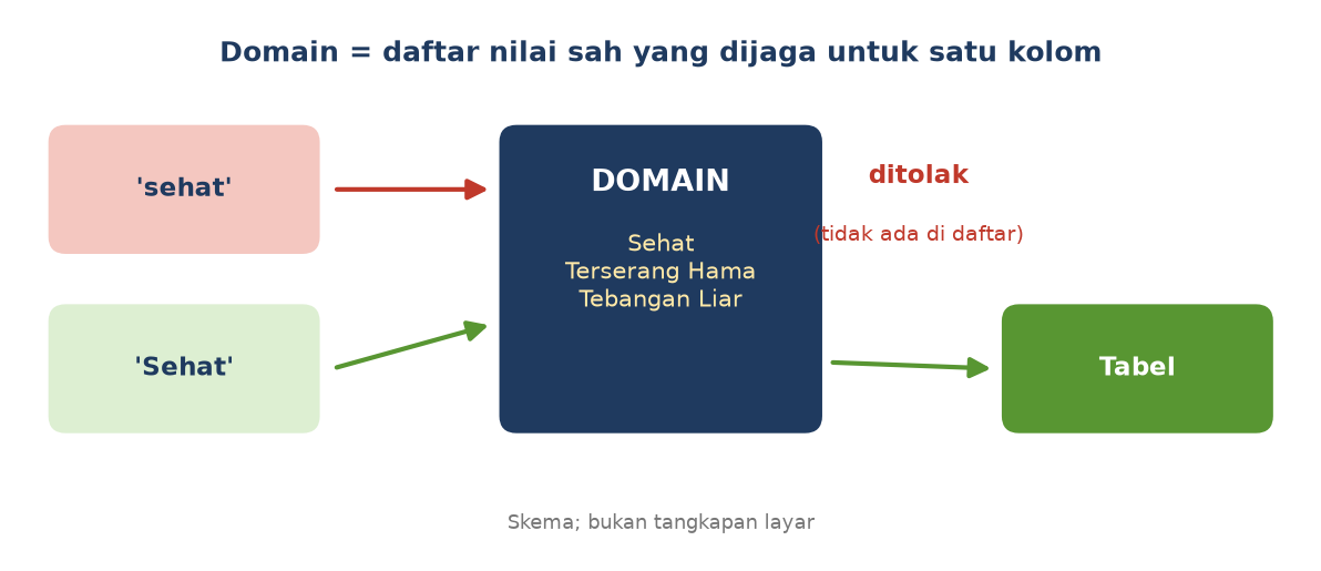 Skema: nilai sehat huruf kecil ditolak karena tidak ada di daftar, sedangkan Sehat diterima